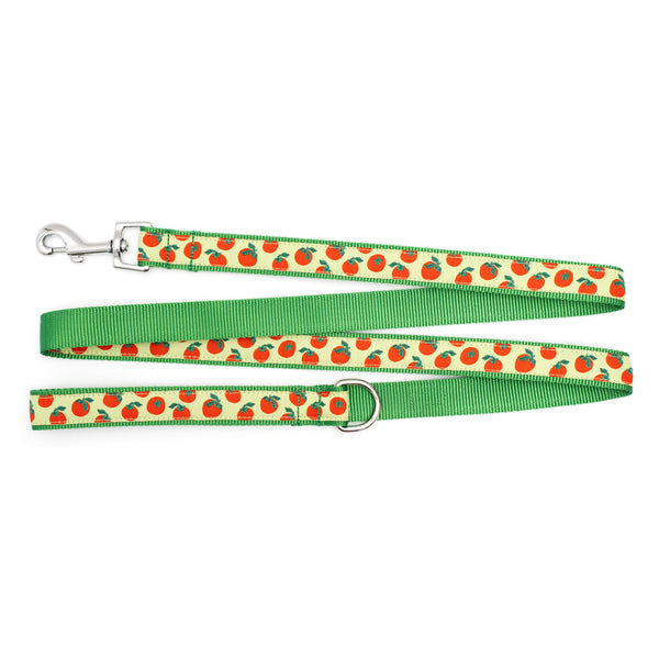Tomatoes Walk Set – Collar & Leash