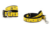 Bzzz! Walk Set – Collar & Leash