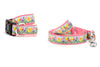 Hello Spring Walk Set – Collar & Leash