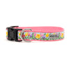 Hello Spring Walk Set – Collar & Leash