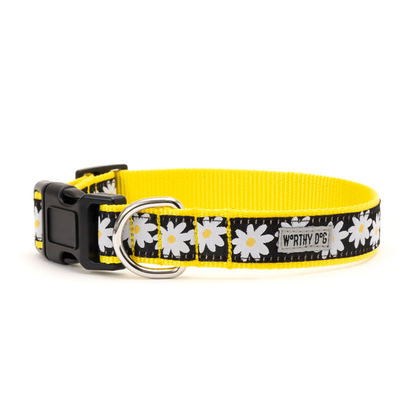 Lazy Daisy Collar