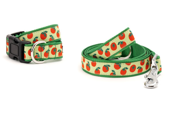 Tomatoes Walk Set – Collar & Leash