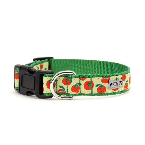 Tomatoes Walk Set – Collar & Leash