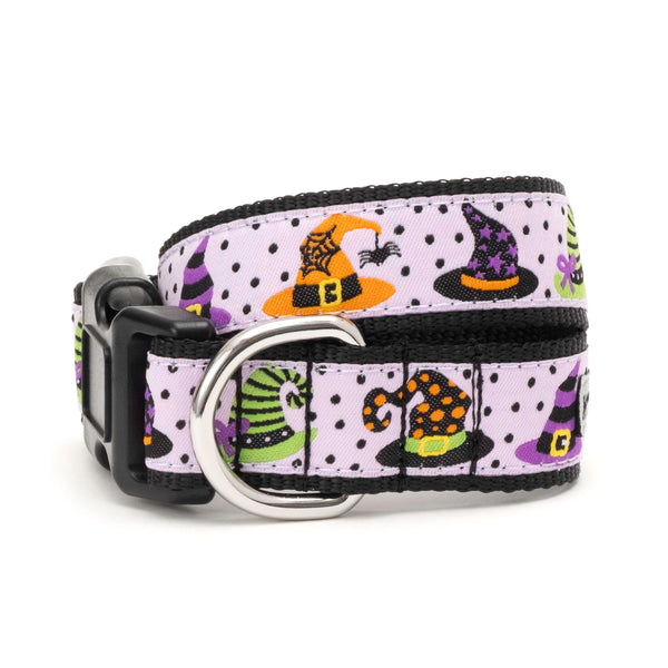 Bewitched Dog Collar