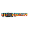 Falling Leaves Dog Collar