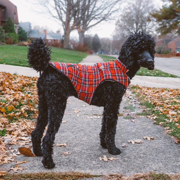 Windsor Tartan Dog Jacket