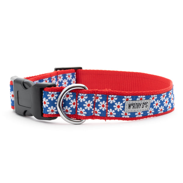 Daisies Walk Set – Collar & Leash