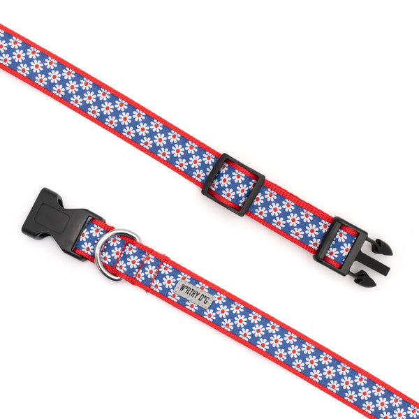Daisies Collar