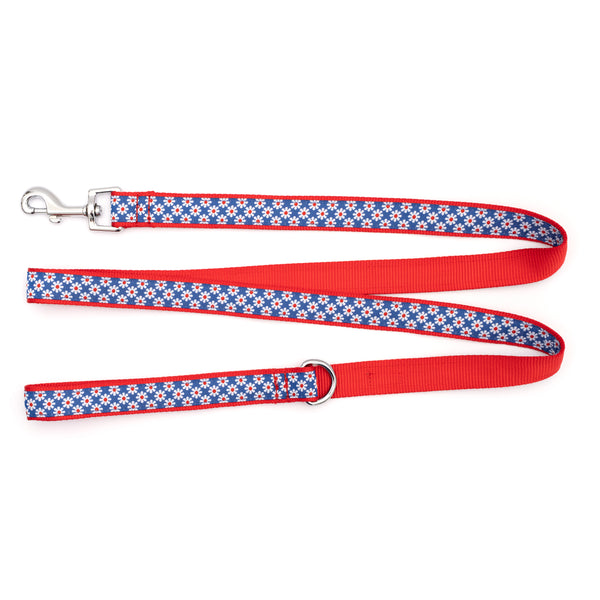 Daisies Walk Set – Collar & Leash