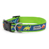 Dino Walk Set – Collar & Leash