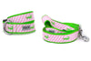 Pink Stripe Alligator Walk Set – Collar & Leash