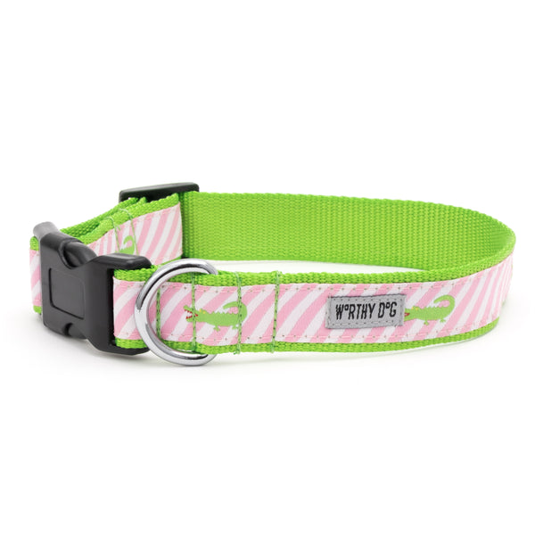 Pink Stripe Alligator Walk Set – Collar & Leash