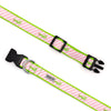 Pink Stripe Alligator Collar