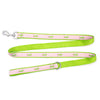 Pink Stripe Alligator Walk Set – Collar & Leash