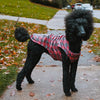 London Raincoat for Dogs