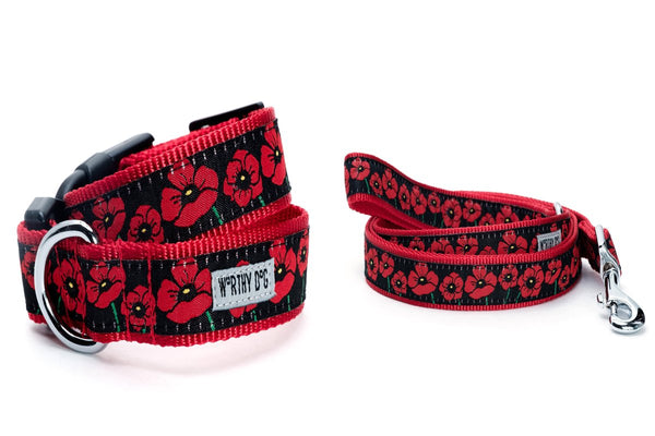 Poppies Walk Set – Collar & Leash