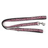 Leopard Walk Set – Collar & Leash