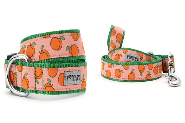 Peachy Keen Walk Set – Collar & Leash