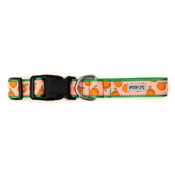 Peachy Keen Walk Set – Collar & Leash