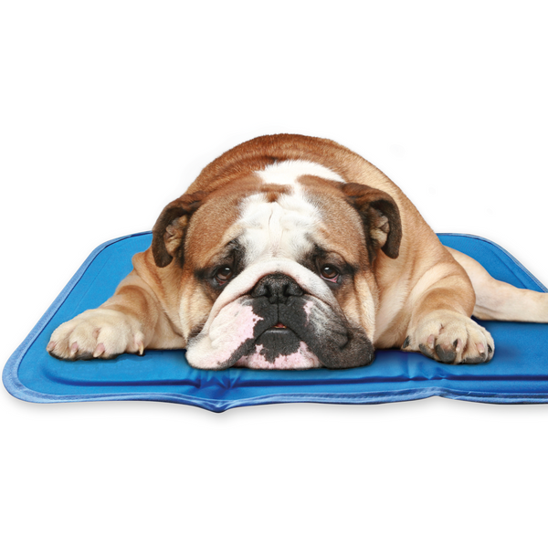 Cooling Pet Pad – No Freezing or Electricity