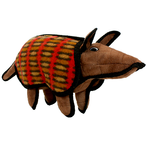 Tuffy Desert Armadillo