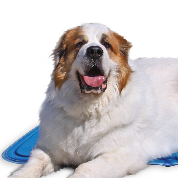 Cooling Pet Pad – No Freezing or Electricity