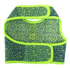 Active Mesh Dog Harness with Leash - Neon Green & Blue