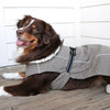 Alpine Tuf Terrain Dog Coat - Dried Sage