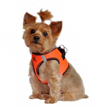 American River Top Stitch Dog Harness - Iridescent Orange