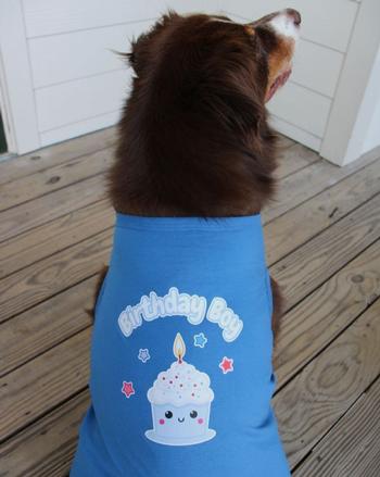 Birthday Boy Dog Shirt - Blue