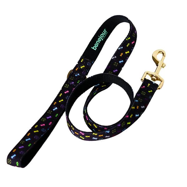 Eco Dog Leash – Recycled & Decorative