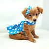 Blue Polka Dot Dog Dress with Matching Leash