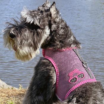 Cool Mesh Dog Harness Under the Sea Collection - Sunglasses Pink and Black Polka Dot