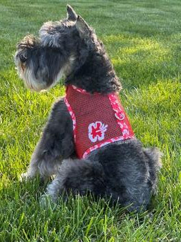 Cool Mesh Dog Harness with Leash - Hawaiian Hibiscus Red