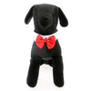 White Collar Bow Tie Set with 4 Interchangeable Bows
