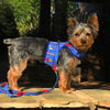Fabric Dog Harness with Leash - Ukuleles and Surfboards