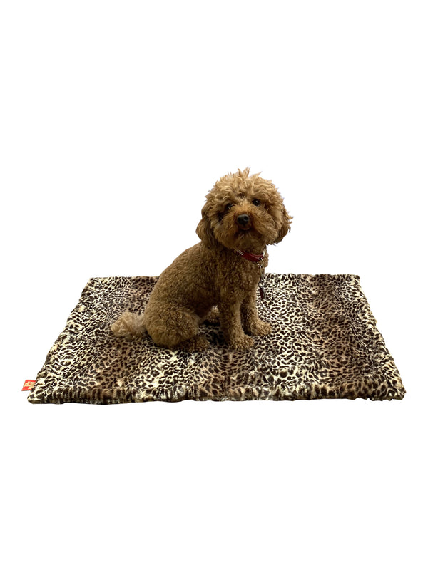 Small Blanket, 20"x30"