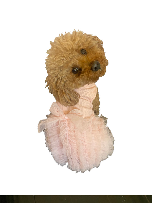 Birthday Buttercream Tutu in Pink