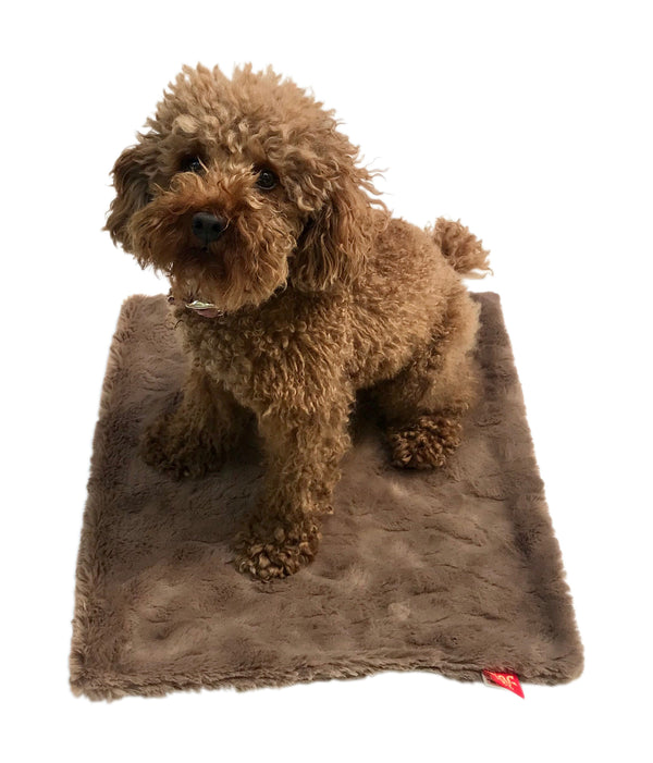 Carrier Square, Bella