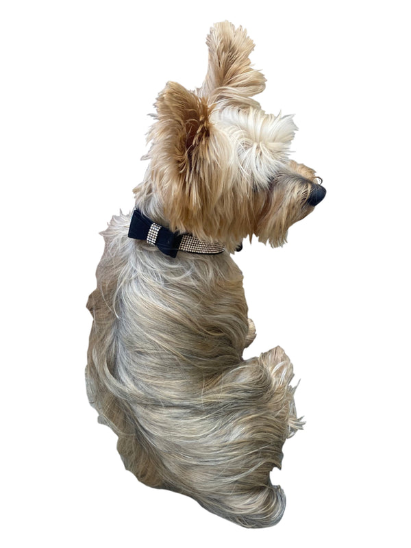 Bow Tie Dog Collars in Pleather, Black