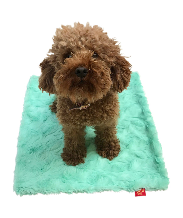 Carrier Square, Bella