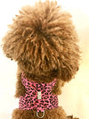 Hollywood Bow Harness, Cheetah