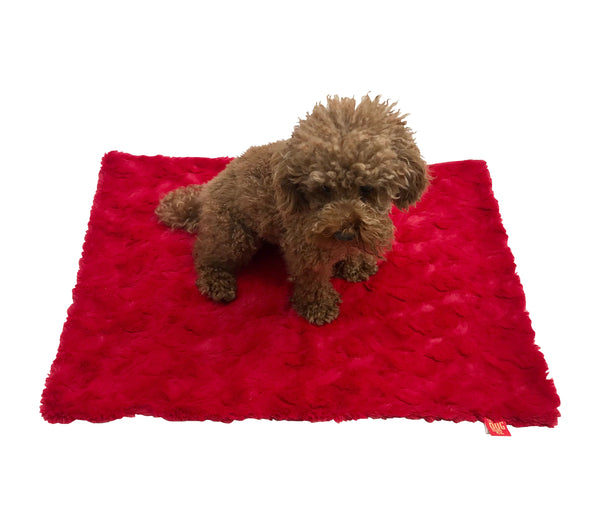 Small Blanket, Bella, 20"x30"