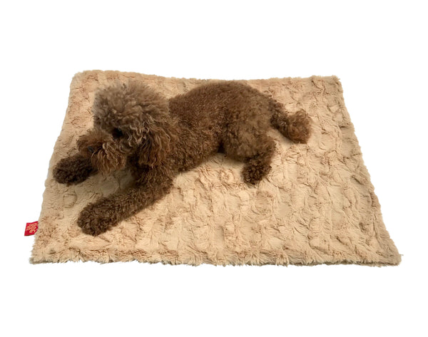 Small Blanket, Bella, 20"x30"