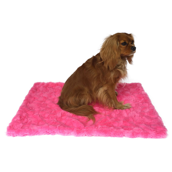 Small Blanket, Bella, 20"x30"