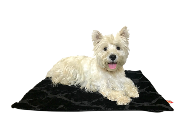 Large Blanket, 36"x58"