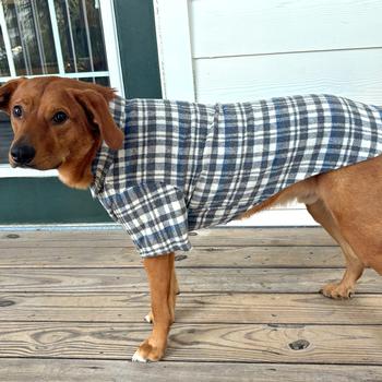 Flannel Dog Shirt - Gray and Blue Plaid