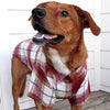 Flannel Dog Shirt - Red and White Plaid