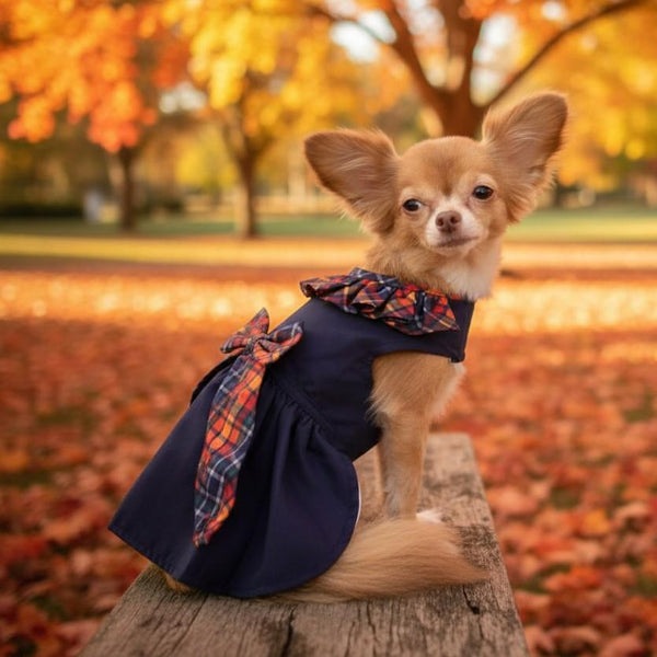 Dog Harness Dress & Leash Set – Navy Plaid Ruffle