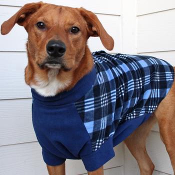 Highline Fleece Dog Coat - Blue Plaid
